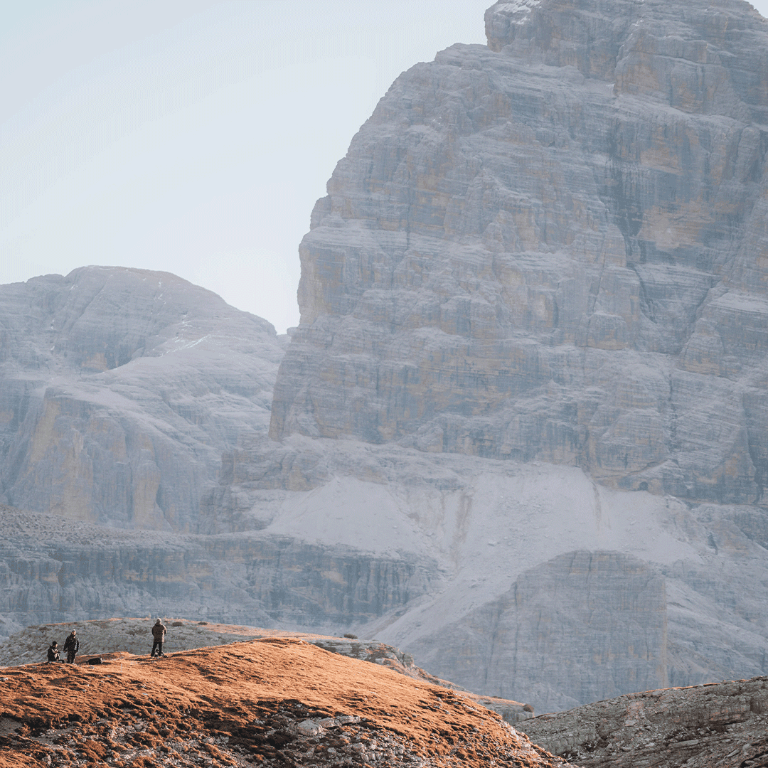 TOFANA - CORTINA